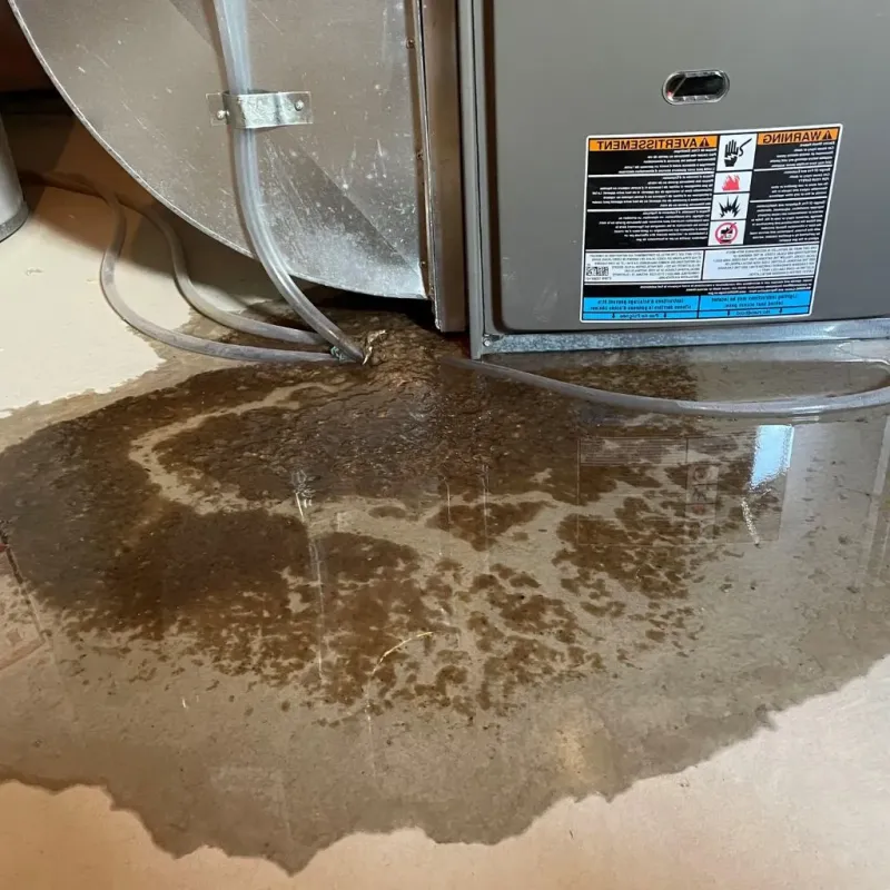Pipe Burst and Leak Restoration in Great Barrington, MA